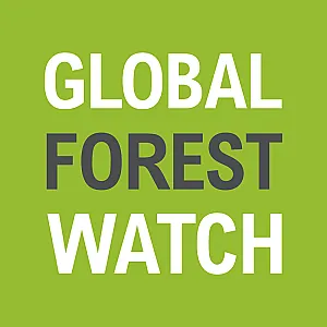 Global Forest Watch